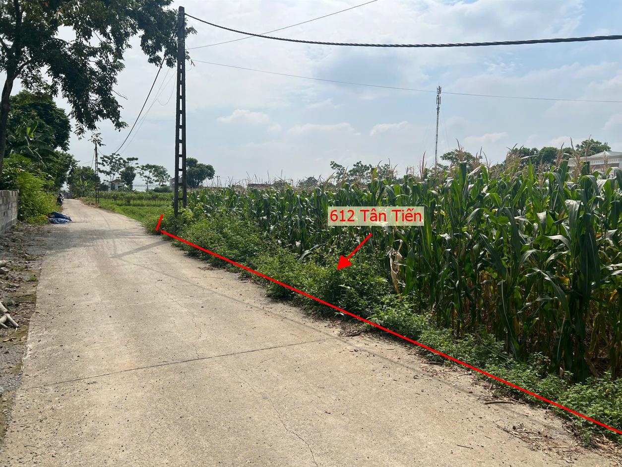 Hình ảnh Bất Động Sản Xuân Mai Bán Đất Khu Vực Tân Tiến Ô Tô Đỗ Tận Đất Ngay Sau Sân Bóng Đá Tân Tiến Gần Trục Chính Liên Xã