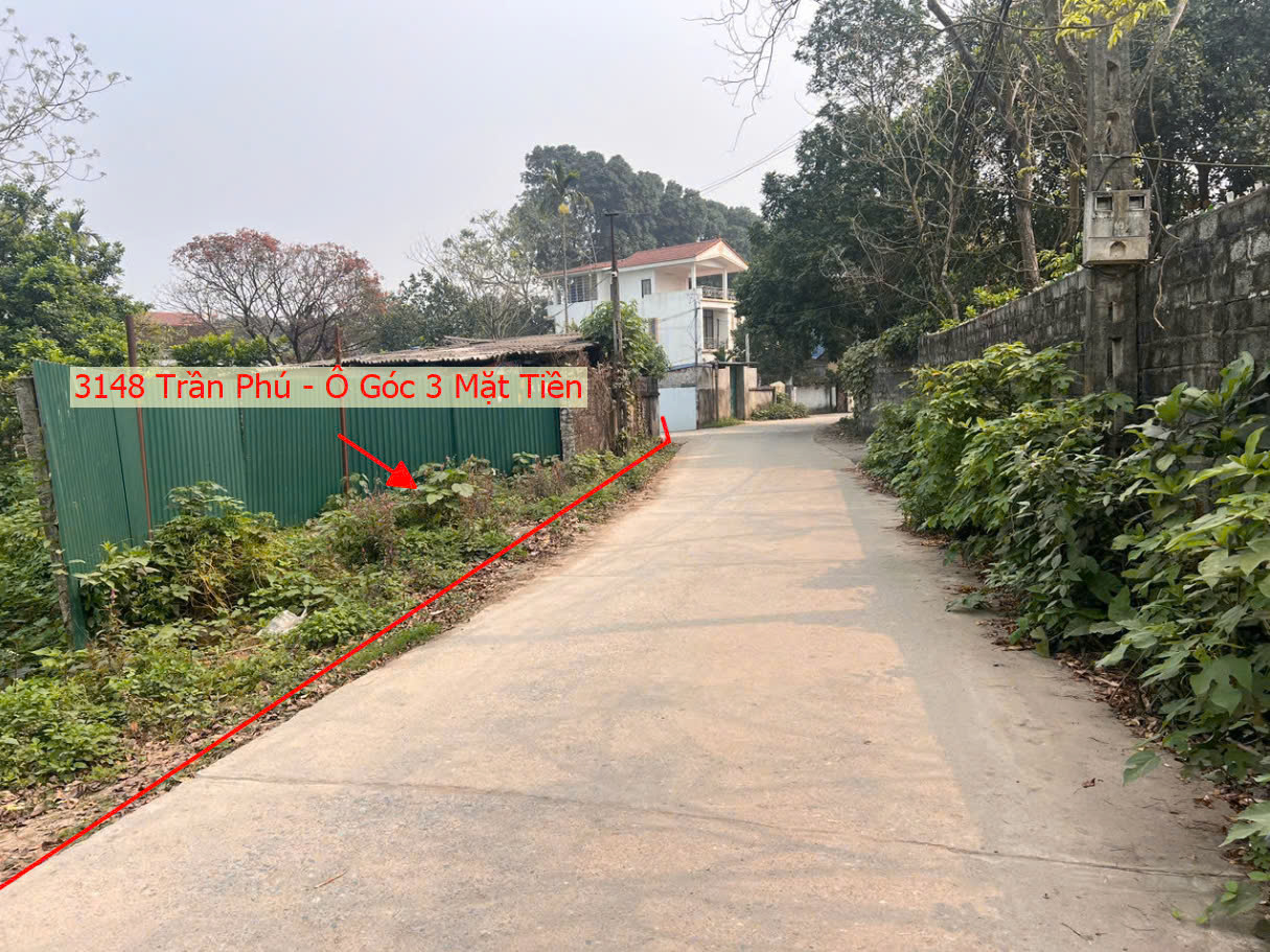 Hình ảnh Bán Lô Góc 3 Mặt Thoáng 3148m Full Thổ Cư Tại Trần Phú Ô Tô Đỗ Tận Đất Ngay Gần Mặt Đường QL21A 