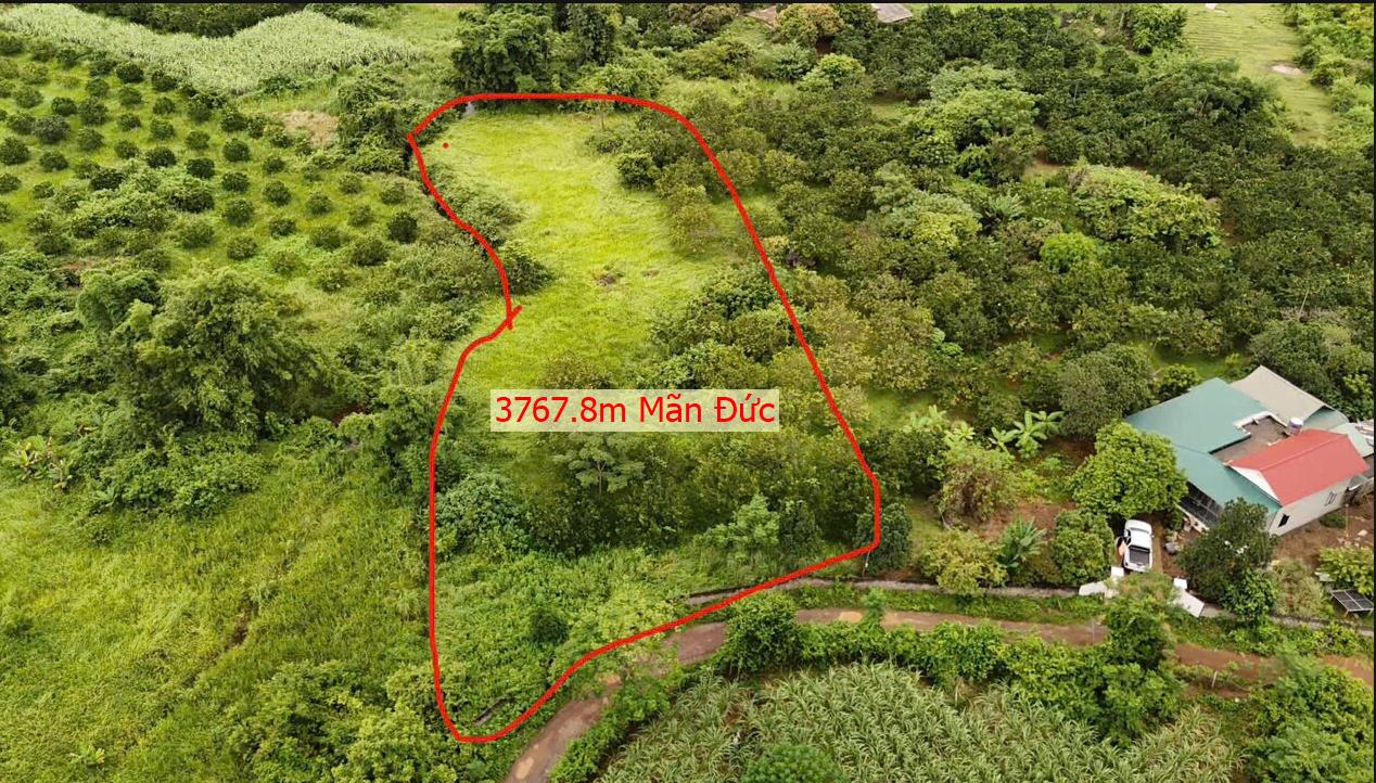 Hình ảnh Bán Lô Đất 3767.6m Tại Mãn Đức Tân Lạc Bám Bám Suối Đất Bằng Phẳng Trong Đất Có Vườn Cây Ăn Quả Cách Ql6 1km Giá Đầu Tư