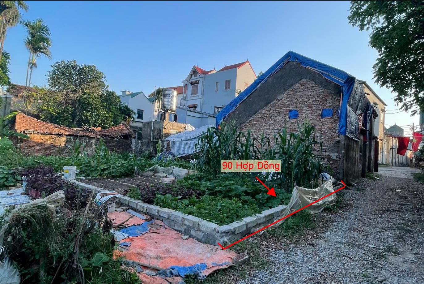 Hình ảnh Bán Đất Full Thổ Cư Ngay Gần Đường TL419 Tại Hợp Đồng Chương Mỹ Giá Nhỉnh Tỷ