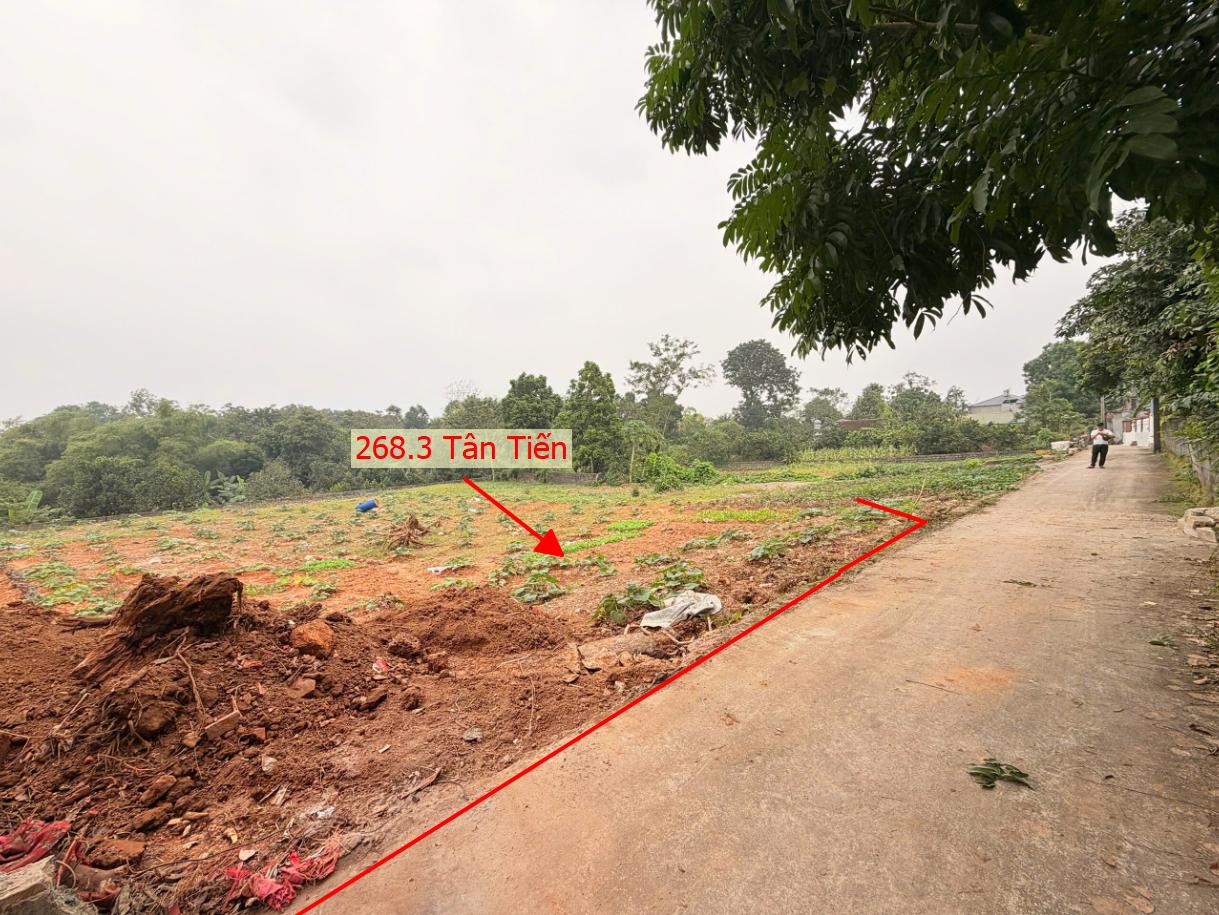 Hình ảnh Bán Đất Phân Lô Tân Tiến Ô Tô Đỗ Tận Đất Ngay Sát Trục Chính Kinh Doanh Liên Xã 