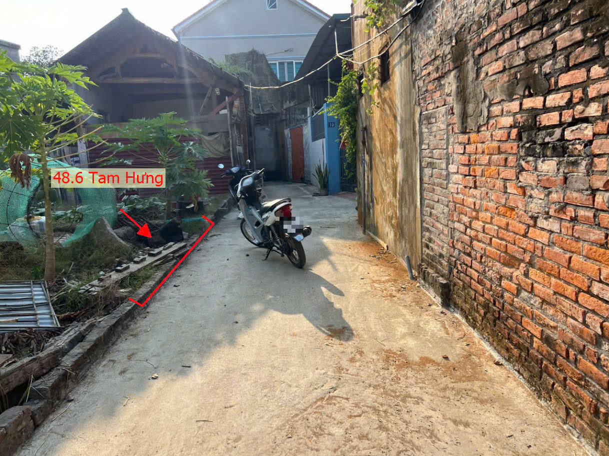 Hình ảnh Đất Phân Lô Xã Tam Hưng Ngay Trung Tâm Hành Chính Xã Sát Trục Chính Kinh Doanh Giá Chỉ Hơn 2 Tỷ