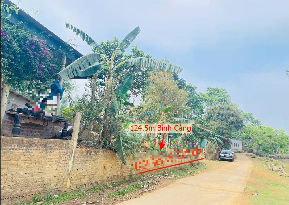 Hình ảnh Bán Lô Đất 124.5m Tại Bình Cảng Lạc Sơn Bám Đường Bê Tông Ô Tô Vào Tận Đất Dân Cư Đông Đúc Cách QL12b Phù Hợp Kinh Doanh Giá Đầu Tư
