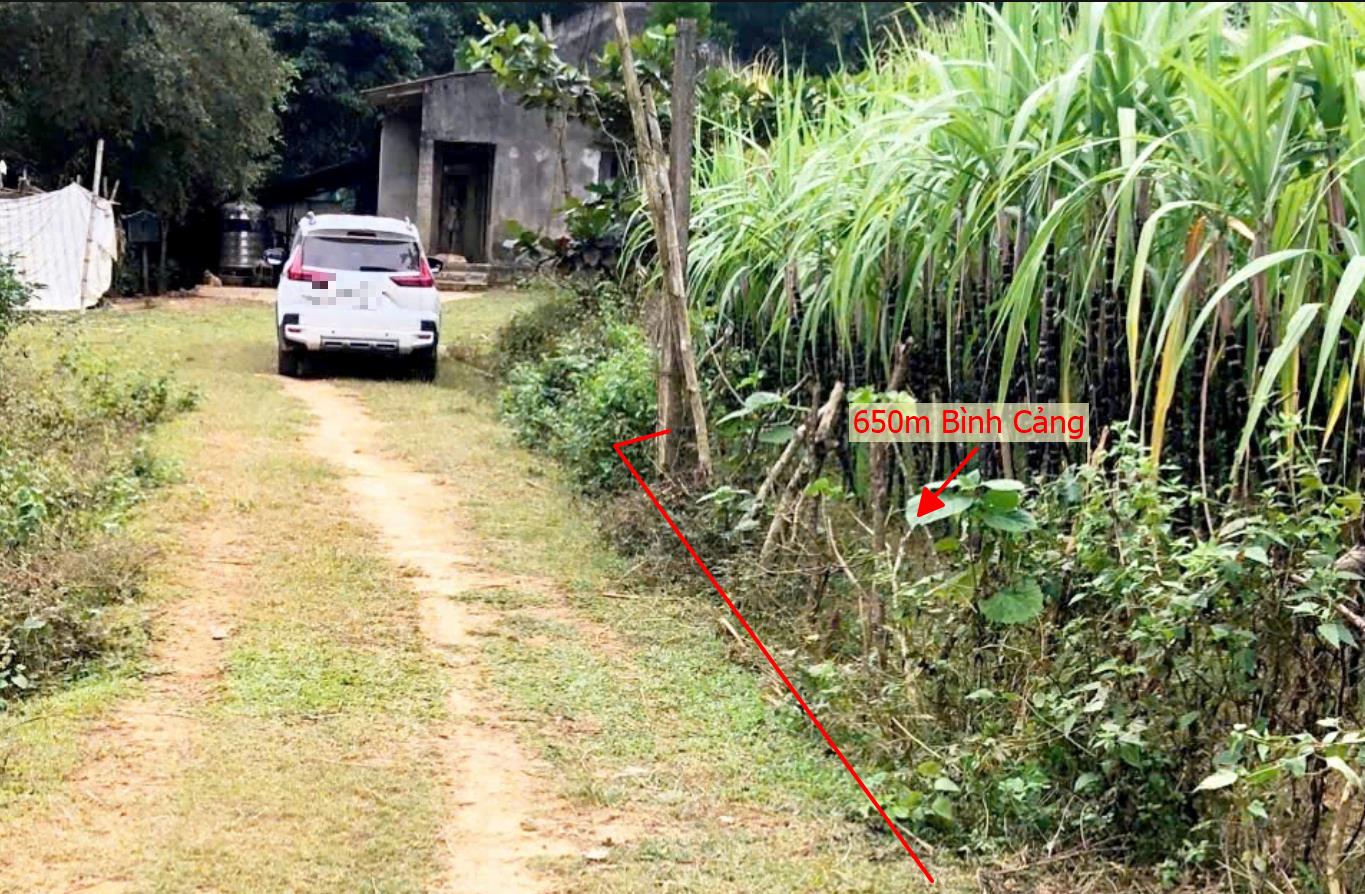 Hình ảnh Bán Lô Đất 650m Tại Bình Cảng Lạc Sơn Bám Đường Bê Tông Ô Tô Vào Tận Đất Dân Cư Đông Đúc Thân Thiện Giá Đầu Tư