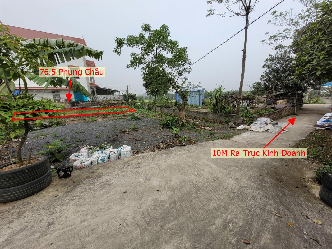 Hình ảnh Bất Động Sản Chương Mỹ Bán Đất Khu Vực Phụng Châu Ô Tô Đỗ Tận Đất Sát Trục Kinh Doanh Gần Khu Du Lịch Chùa Trầm