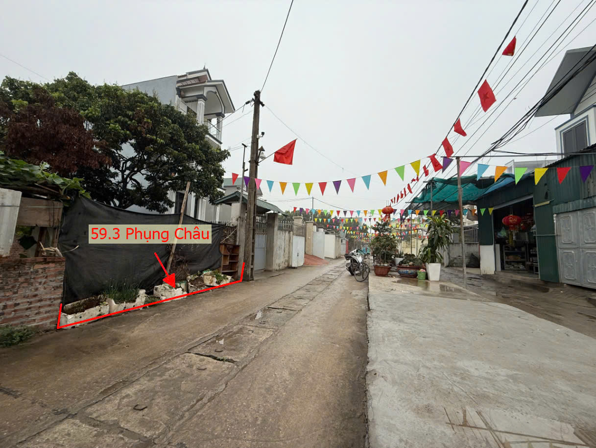 Hình ảnh Bán Đất Full Thổ Cư 59.3M2 Tại Phụng Châu Ô Tô Đỗ Tận Đất Gần Trục Kinh Doanh Liên Huyện 