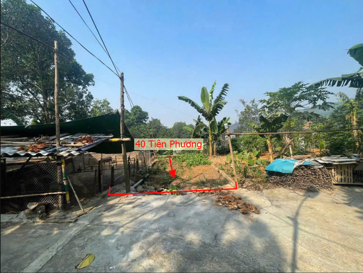 Hình ảnh Bán Thửa Đất 40m Tại Tiên Phương Chương Mỹ Ngay Gần QL6A Đang Triển Khai Mở Rộng Giá Chỉ Hơn Tỷ