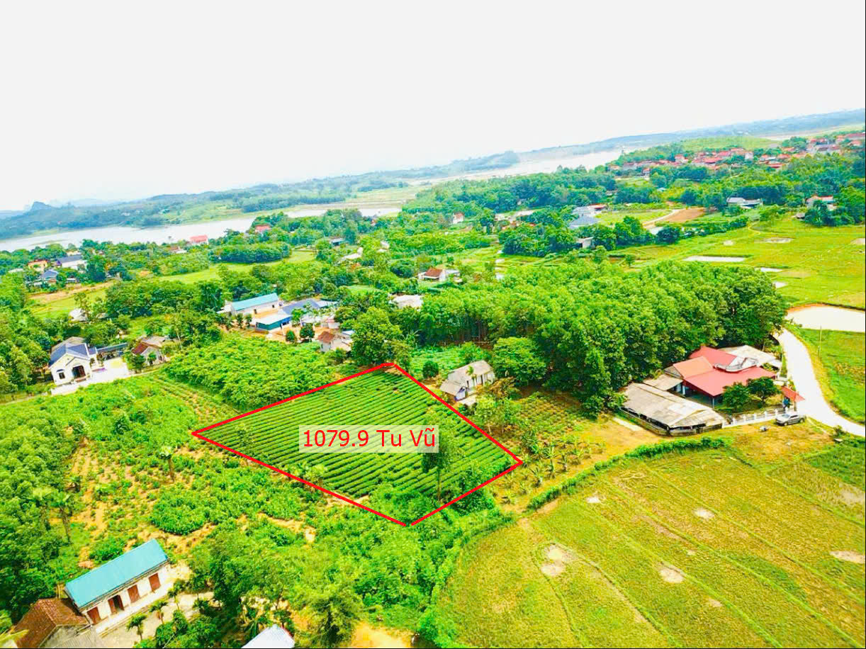 Hình ảnh Bán Đất Tu Vũ Ngay Trung Tâm Xã Tu Vũ Gần Hồ Đá Cốc Cực Đẹp Giá Chỉ Hơn Tỷ 