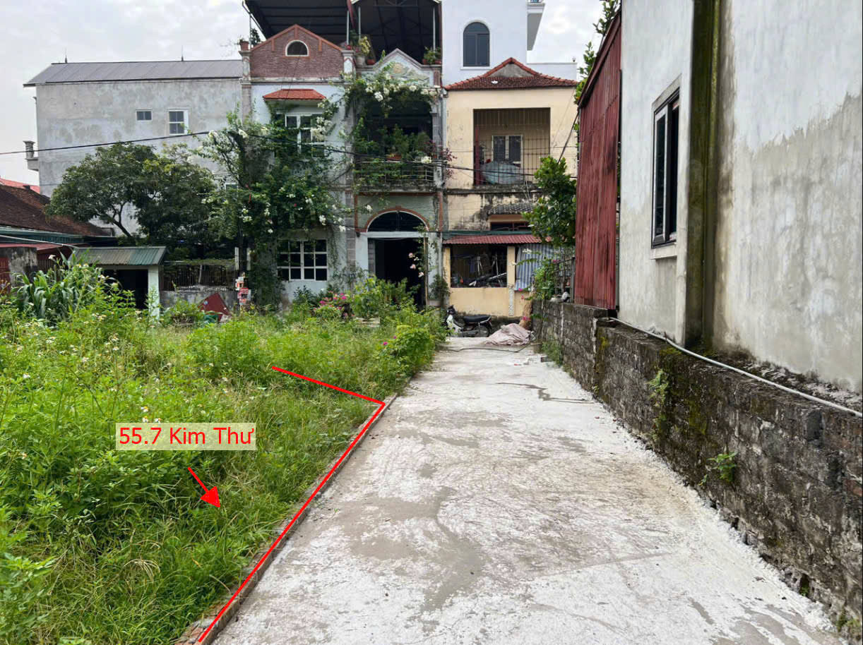 Hình ảnh Bán Đất Phân Lô Kim Thư Gần Trục Kinh Doanh Ngay Trung Tâm Xã Kim Thư 