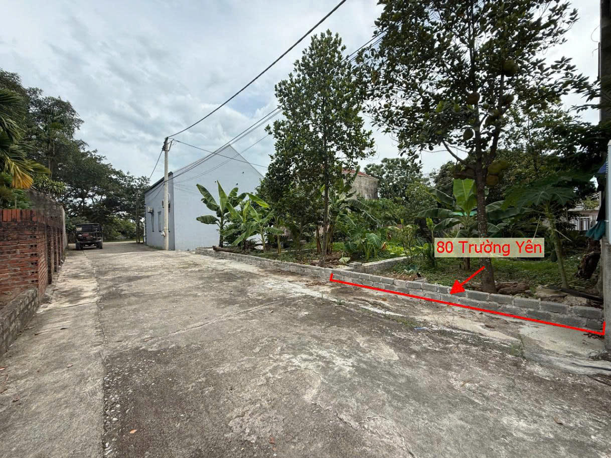 Hình ảnh Đất Phân Lô Trường Yên Sát Trục Chính Kinh Doanh Ô Tô Đỗ Tận Đất Giá Chỉ Hơn Tỷ