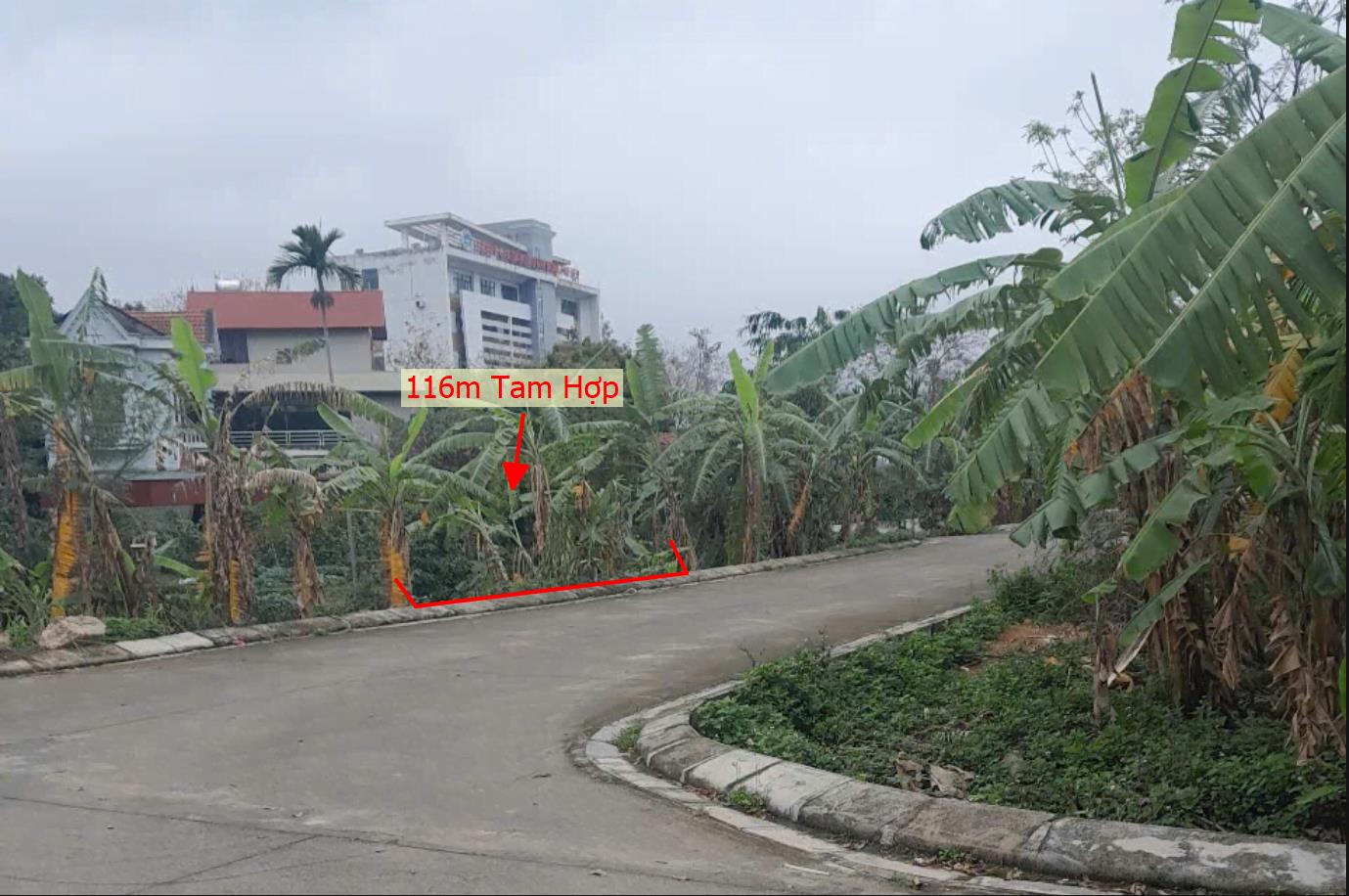 Hình ảnh Bán Lô Đất 116m Tại Tam Hợp Bình Xuyên Bám Đường Bê Tông Ô Tô Vào Tận Đất Dân Cư Đông Đúc Thân Thiện Giá Đầu Tư