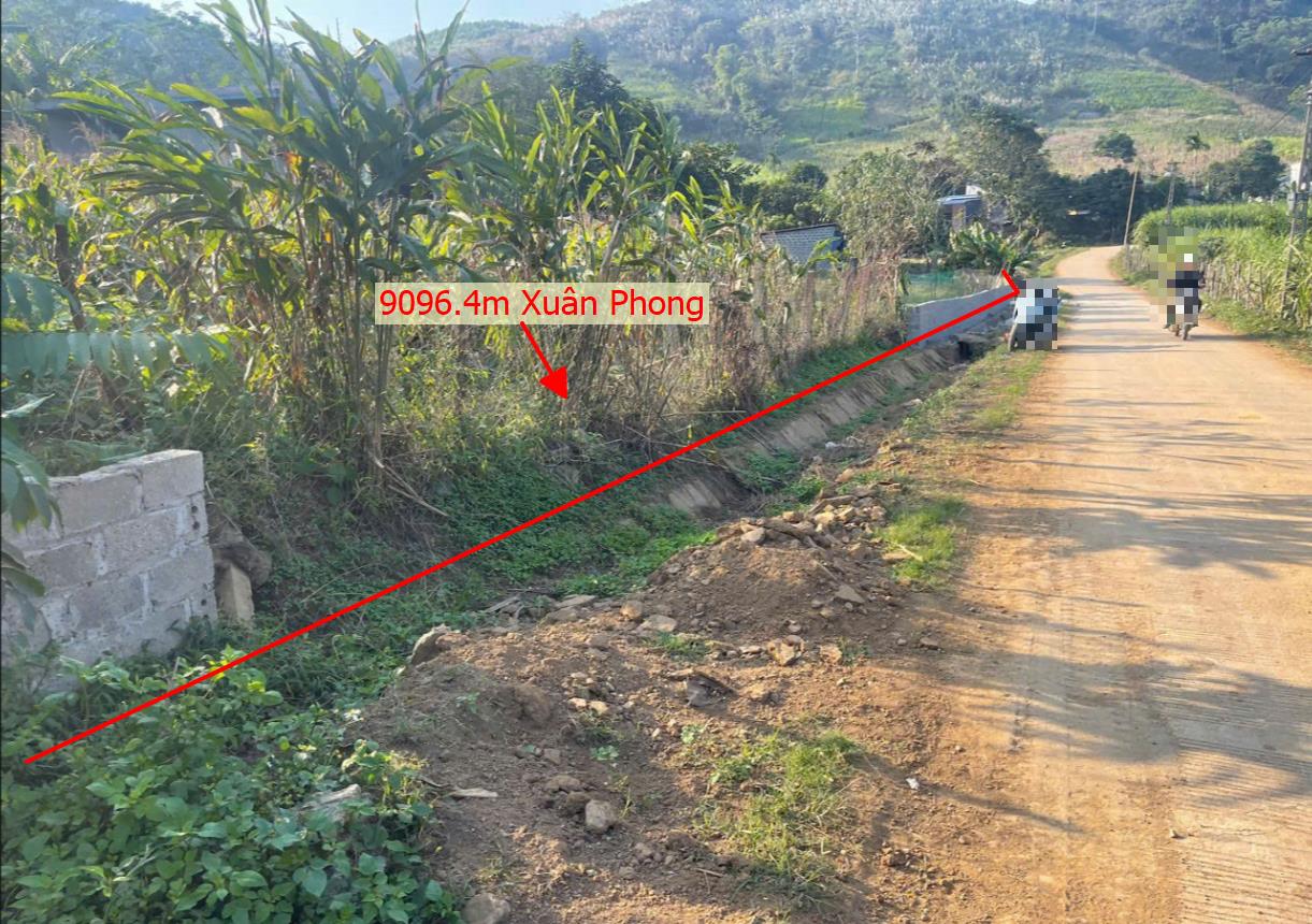 Hình ảnh Bán Lô Đất 9096.m Tại Xuân Phong Cao Phong BÁm Đường Bê Tông Ô Tô Vào Tận Đất View Thoáng Mát Giá Rẻ