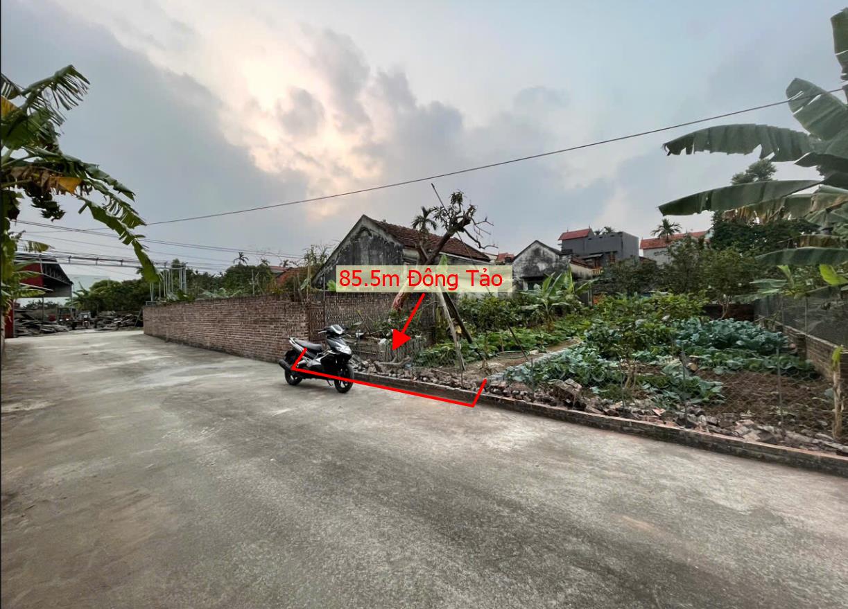 Hình ảnh Bán Lô Đất 85.5m Tại Đông Tảo Bám Đường Bê Tông Ô Tô Vào Tận Đất Dân Cư Đông Đúc Gần Trục Chính Kinh Doanh Giá Đầu Tư