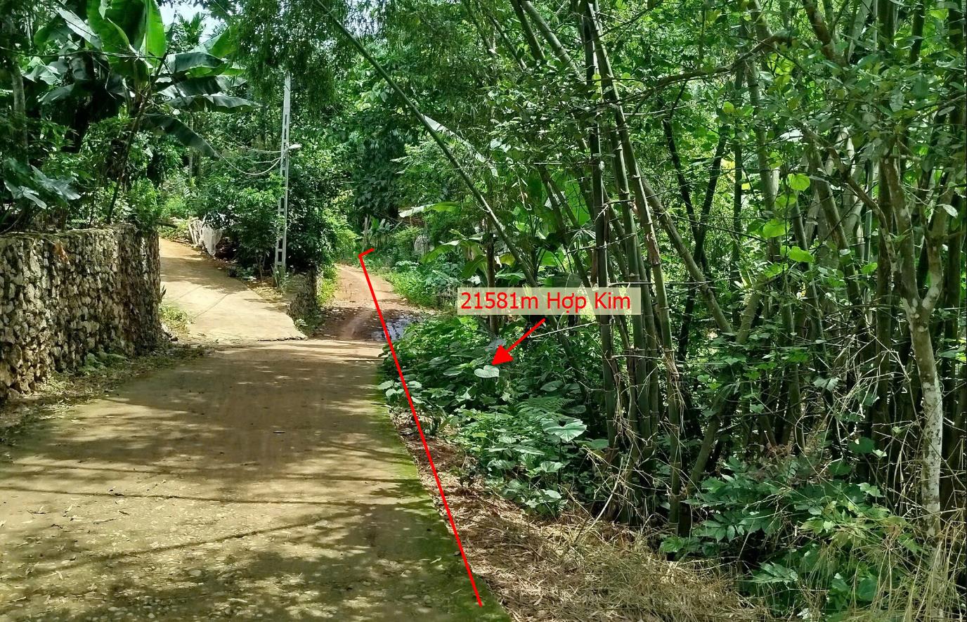 Hình ảnh Bán Lô Đất 21518m Tại Hợp Kim Kim Bôi Bám Đường Bê Tông Ô Tô Vào Tận Đất Sổ Đỏ Pháp Lý Rõ Ràng View Thoáng Mát Giá Đầu Tư