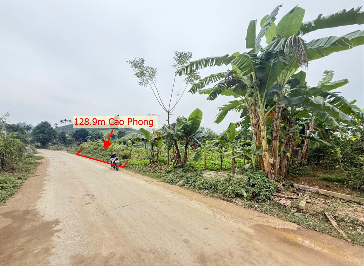 Hình ảnh Bán Lô Đất 199.7m Tại Cao Phong Bám Đường Bê Tông Ô Tô Vào Tận Đất Dân Cư Đông Đúc Thân Thiện Gần Chợ Trường Học Ủy Ban Giá Đầu Tư