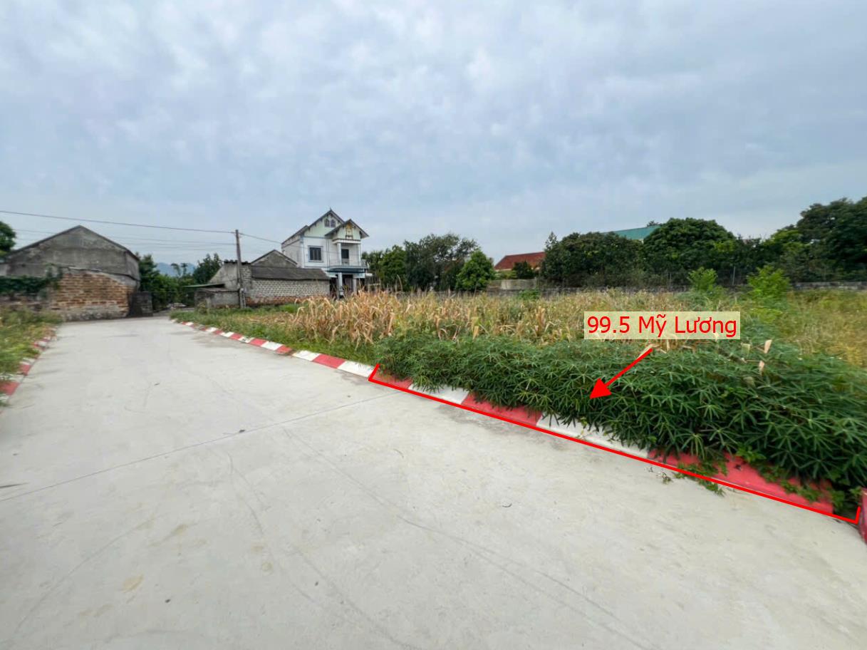 Hình ảnh Bất Động Sản Trần Phú Bán Đất Phân Lô Khu Vực Mỹ Lương Đường Thông Ô Tô Gần Mặt Đường Kinh Doanh Nguyễn Văn Trỗi
