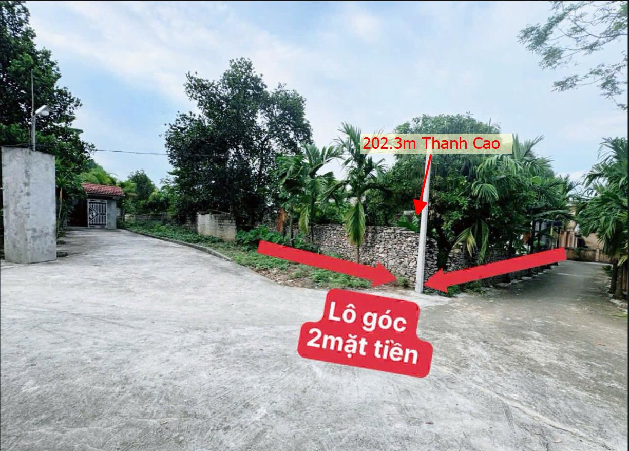 Hình ảnh Bán Lô Đất 202.3m Thanh Cao Lương Sơn Bám Đường Bê Tông Ô Tô Vào Tận Đất Dân Cư Đông Đúc Thân Thiện Giá Đầu Tư
