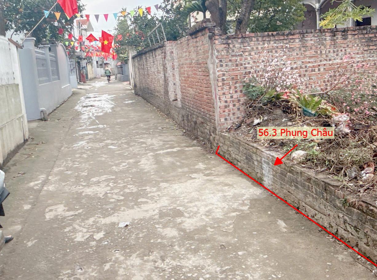 Hình ảnh Bán Thửa Đất 56.3m Tại Phụng Châu Ô Tô Vào Tận Đất Sát Trục Kinh Doanh Liên Xã Giá Chỉ Vài Tỷ