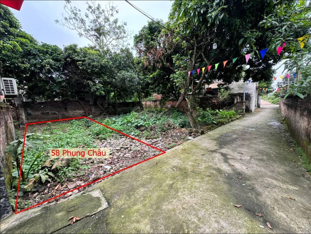 Hình ảnh Bán Đất Phụng Châu Gần Trung Tâm Xã Phụng Châu Giá Chỉ Hơn Tỷ 