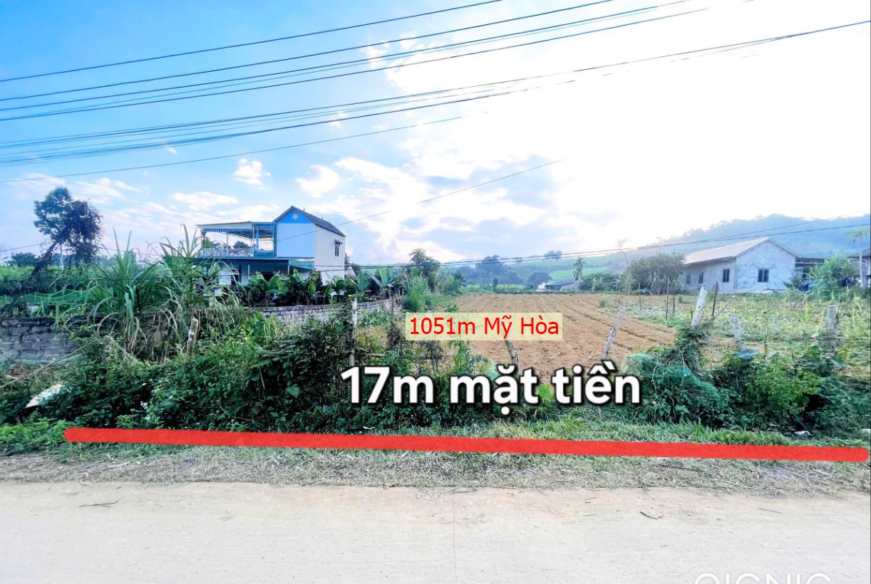 Hình ảnh Bán Lô Đất 1051.2m Tại Mỹ Hòa Tân Lạc Bám Đường Bê Tông Ô Tô Vào Tận Đất Dân Cư Đông  View Cánh Đồng Thoáng Mát Sổ Đỏ Pháp Lý Rõ Ràng 