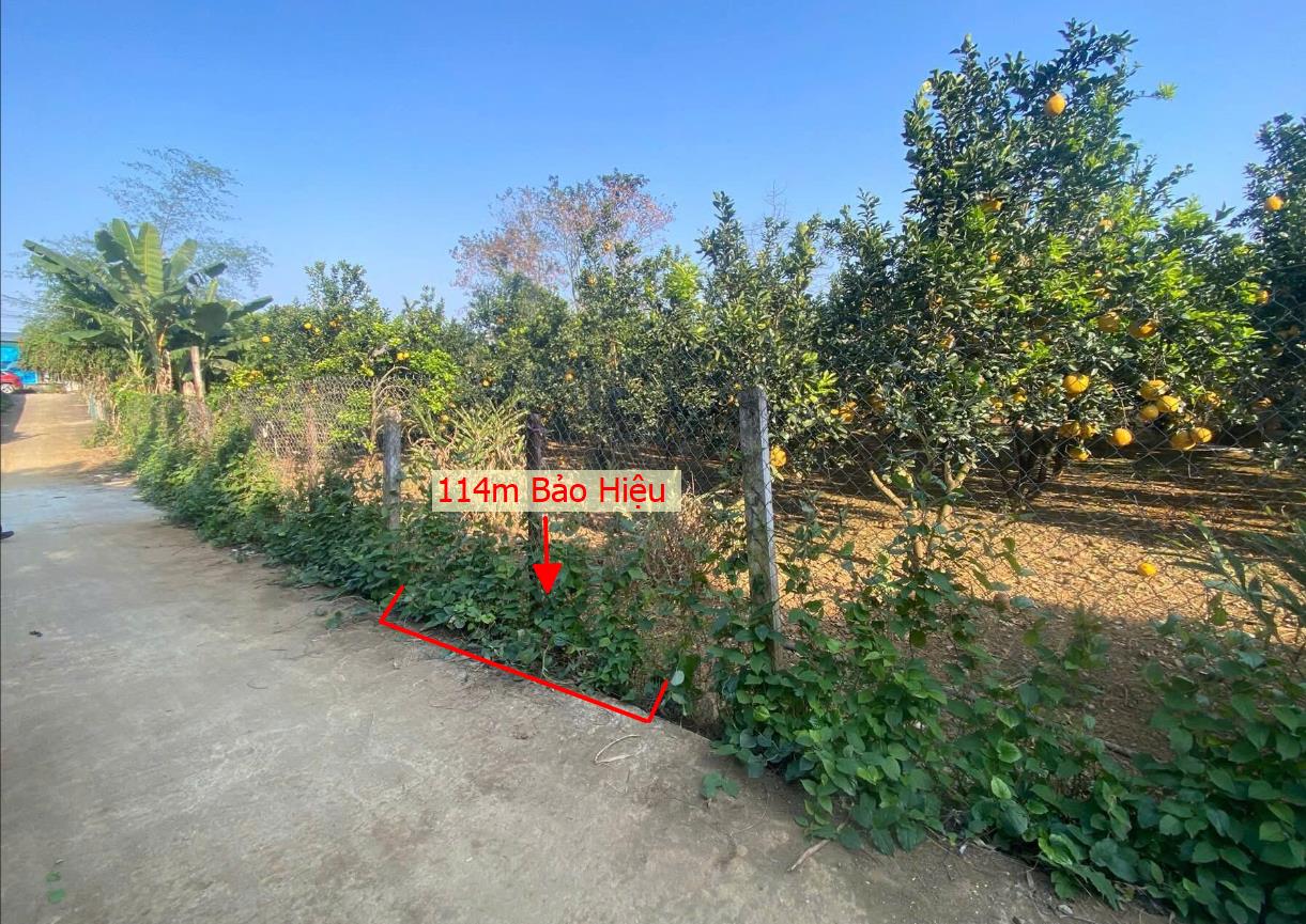 Hình ảnh Bán Đất Phân Lô Tại Bảo Hiệu Yên Thủy Bám Đường Bê Tông Ô Tô Vào Tận Đất Dân Cư Đông Đúc Thân Thiện Giá Đầu Tư