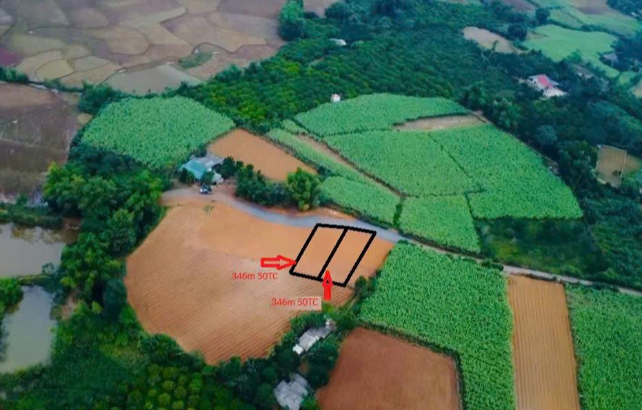 Hình ảnh Bán Lô Đất 346.9m Tại Mỹ Hòa Tân Lạc Bám Đường Bê Tông Ô Tô Vào Tận Đất View Thoáng Mát Giá Đầu Tư