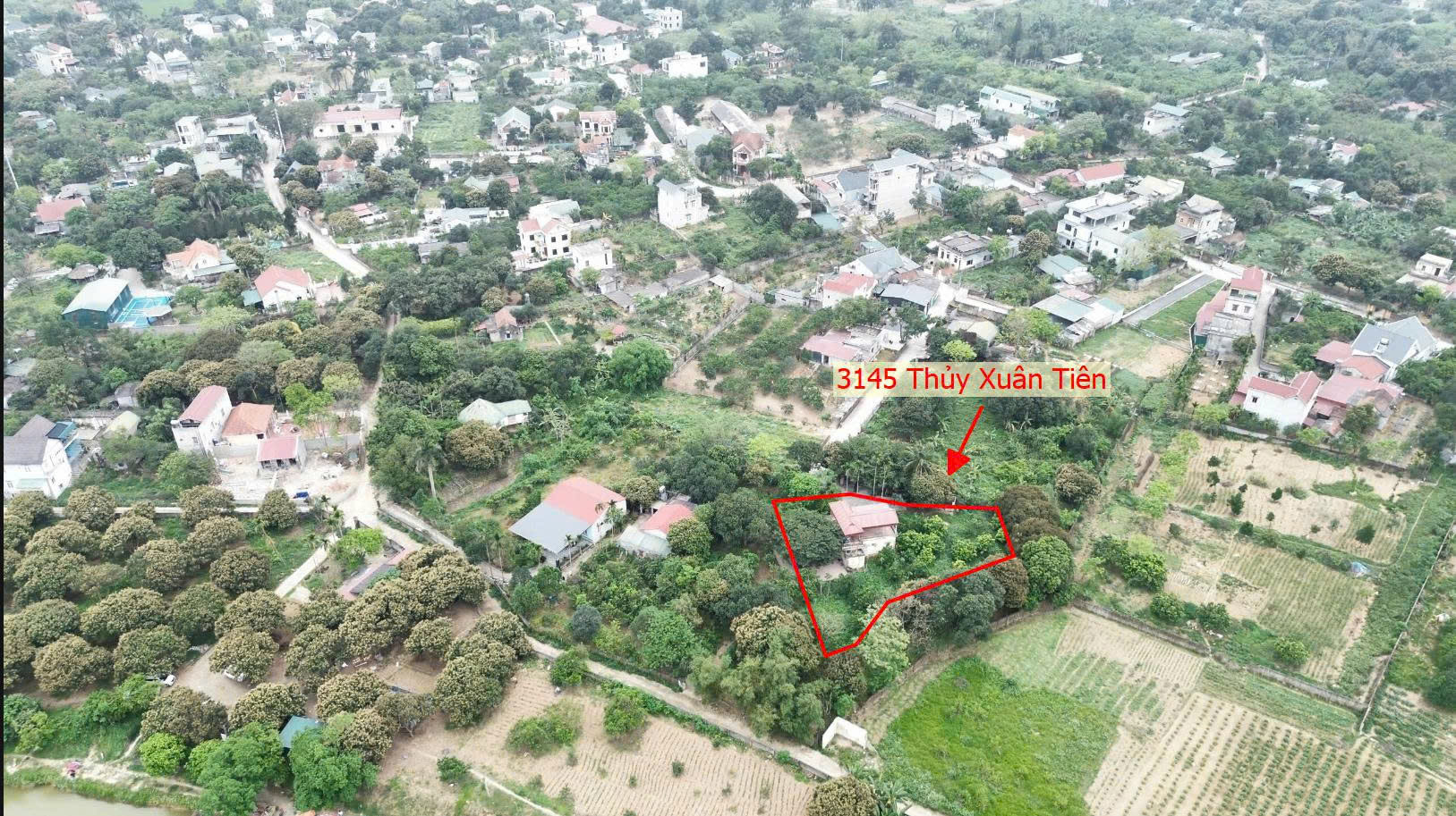 Hình ảnh Bán Thửa Đất 3145m Tại Thủy Xuân Tiên Sẵn Nhà Ô Tô Đỗ Tận Cửa Ngay Gần Trục Chính Liên Xã 