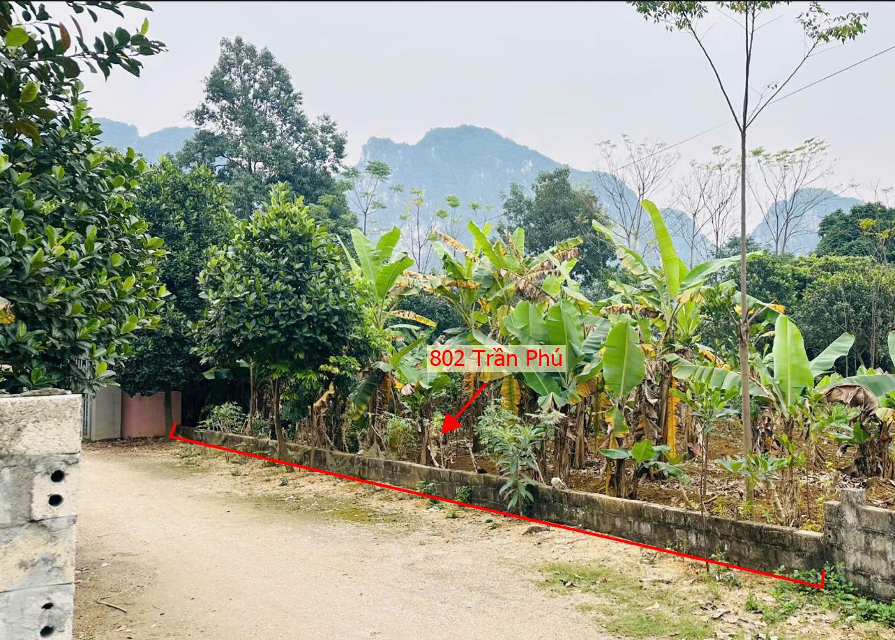 Hình ảnh Bán Thửa Đất 802m Tại Trần Phú Ô Tô Đỗ Tận Đất Gần Mặt Đường Kinh Doanh QL21A Giá Chỉ Vài Tỷ
