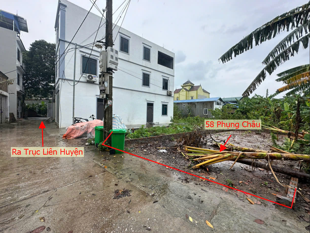 Hình ảnh Bán Đất Phụng Châu Ô Tô Vào Tận Đất Ngay Sát Trục Chính Kinh Doanh Liên Huyện