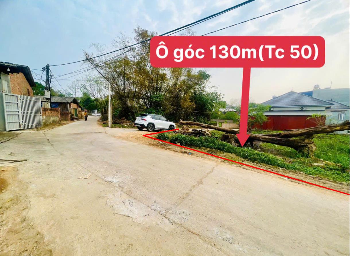 Hình ảnh Bán Lô Đất 130m Tại Tam Quan Tam Đảo Gần Trường Học Gần Chợ Giá Rẻ