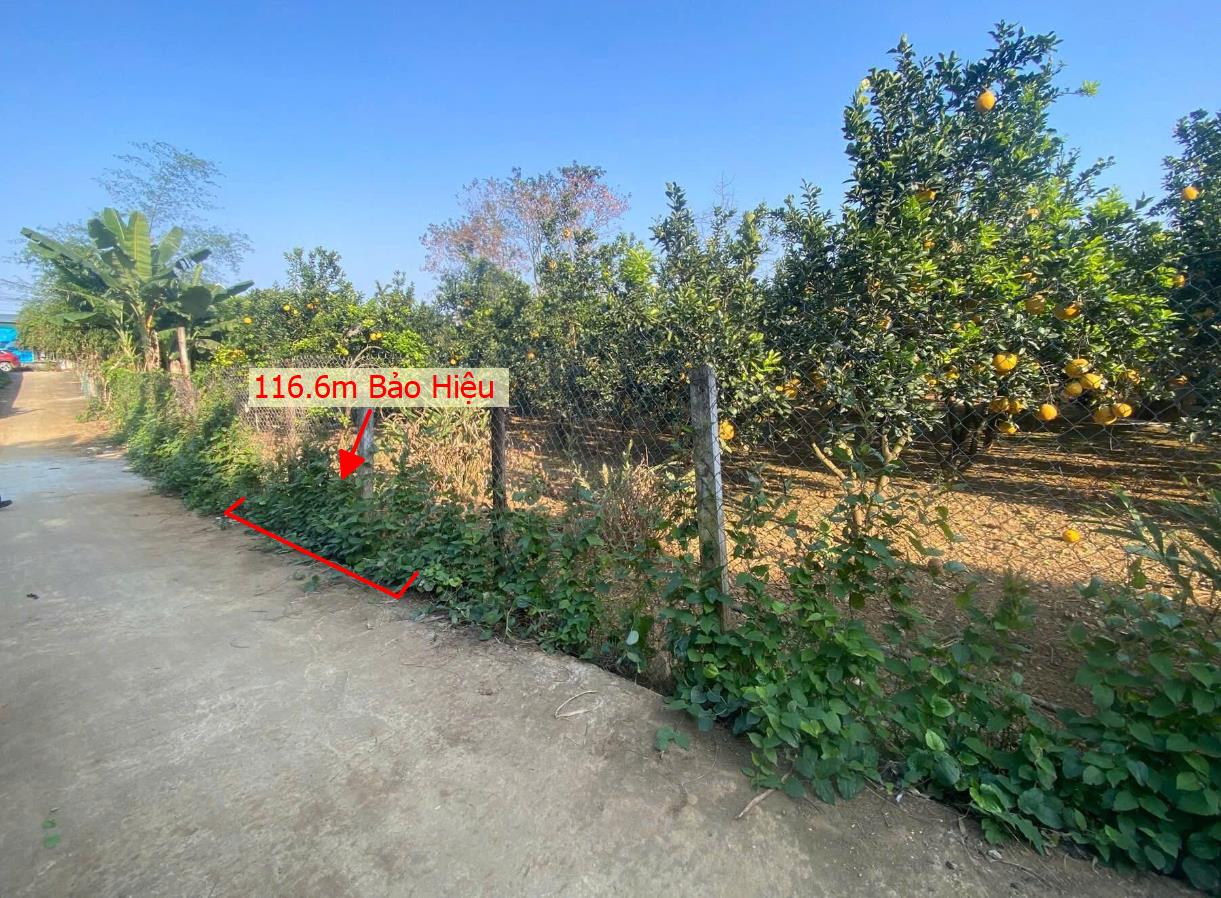 Hình ảnh Bán Đất Phân Lô Tại Bảo Hiệu Yên Thủy Bám Đường Bê Tông Ô Tô Vào Tận Đất Dân Cư Đông Đúc Thân Thiện Giá Đầu Tư
