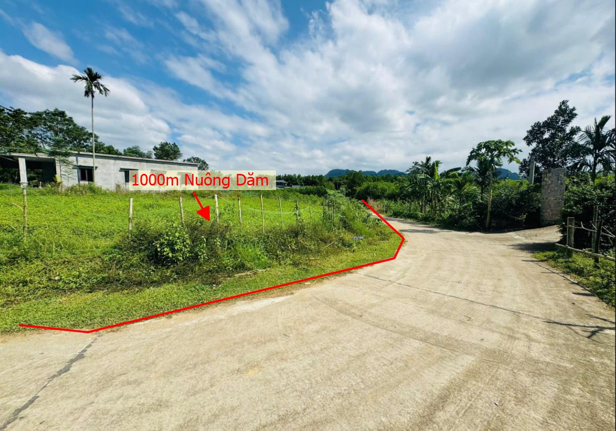 Hình ảnh Bán Lô Đất 1000m Tại Nuông Dăm Kim Bôi Bám Đường Bê Tông  Ô Tô Vào Tận Đất Dân Cư Đông Đúc Thân Thiện Phù Hợp LÀm Nghỉ Dưỡng Giá Đầu Tư