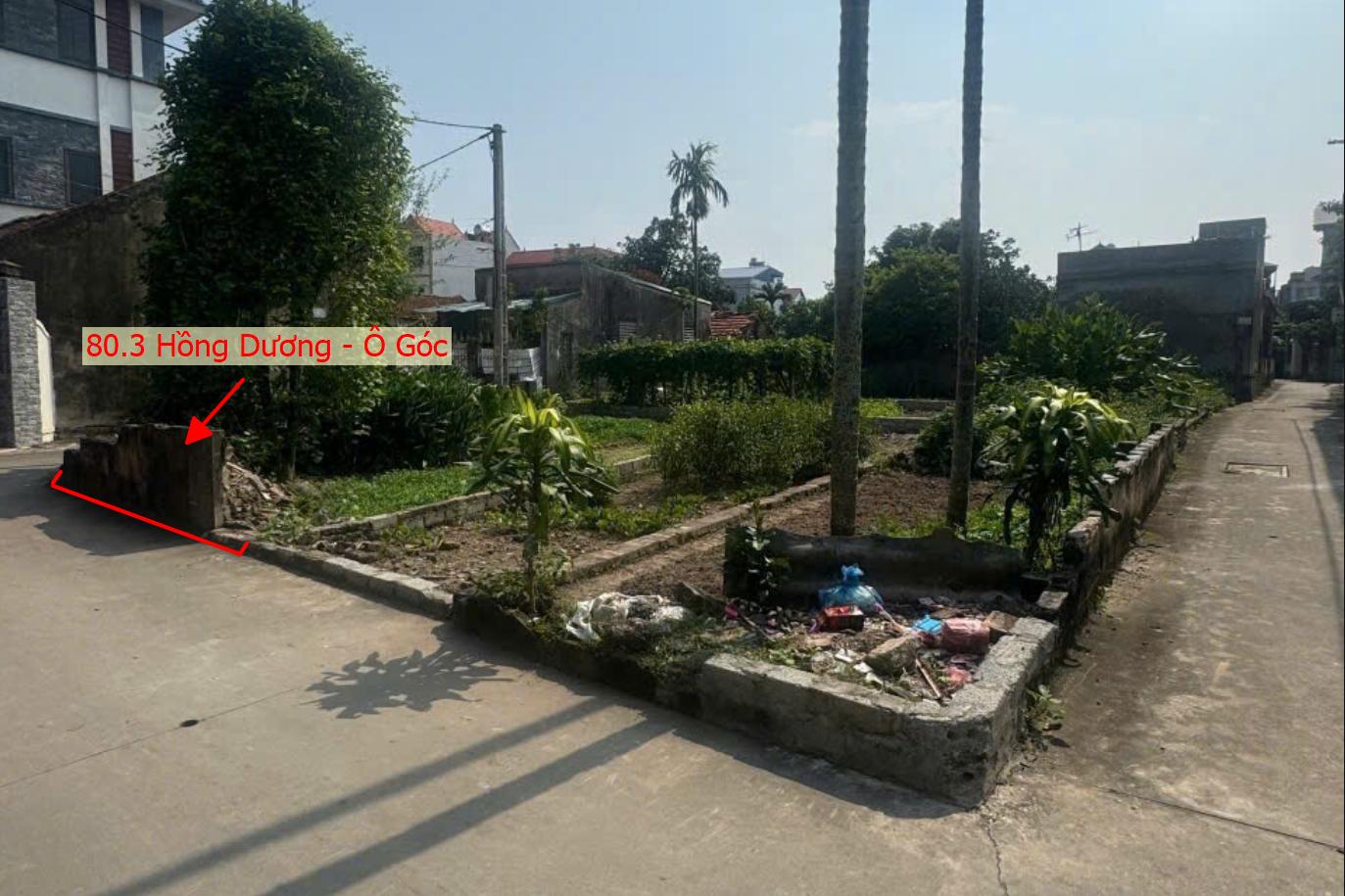 Hình ảnh Bán Lô Góc 2 Mặt Tiền 80.3m Tại Hồng Dương Ô Tô Đỗ Tận Đất Gần Trục Chính Kinh Doanh Liên Xã