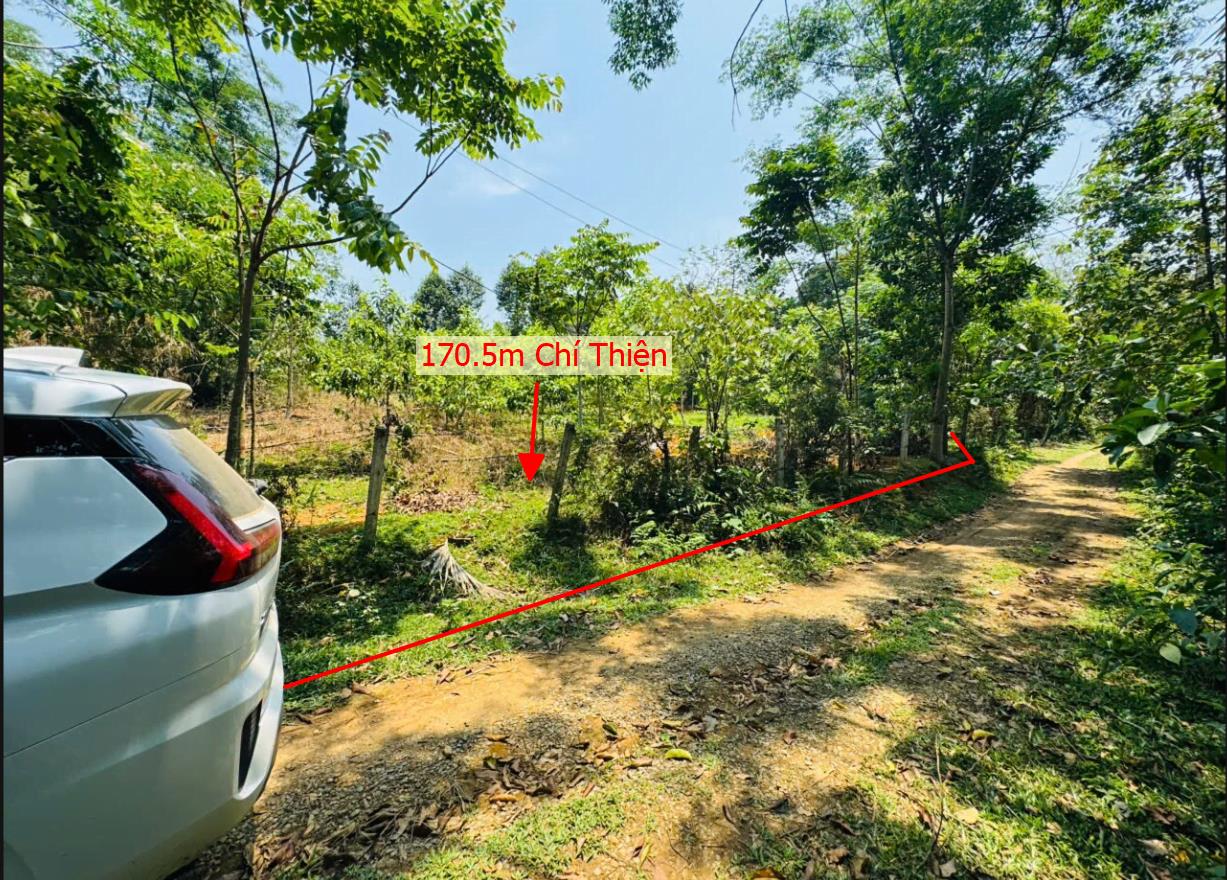 Hình ảnh Bán Lô Đất 170.5m Tại Chí Thiện Lạc Sơn Bám Đường Bê Tông Ô Tô Vào Tận Đất Dân Gần Chợ Trường Học Ủy Ban Giá Đầu Tư