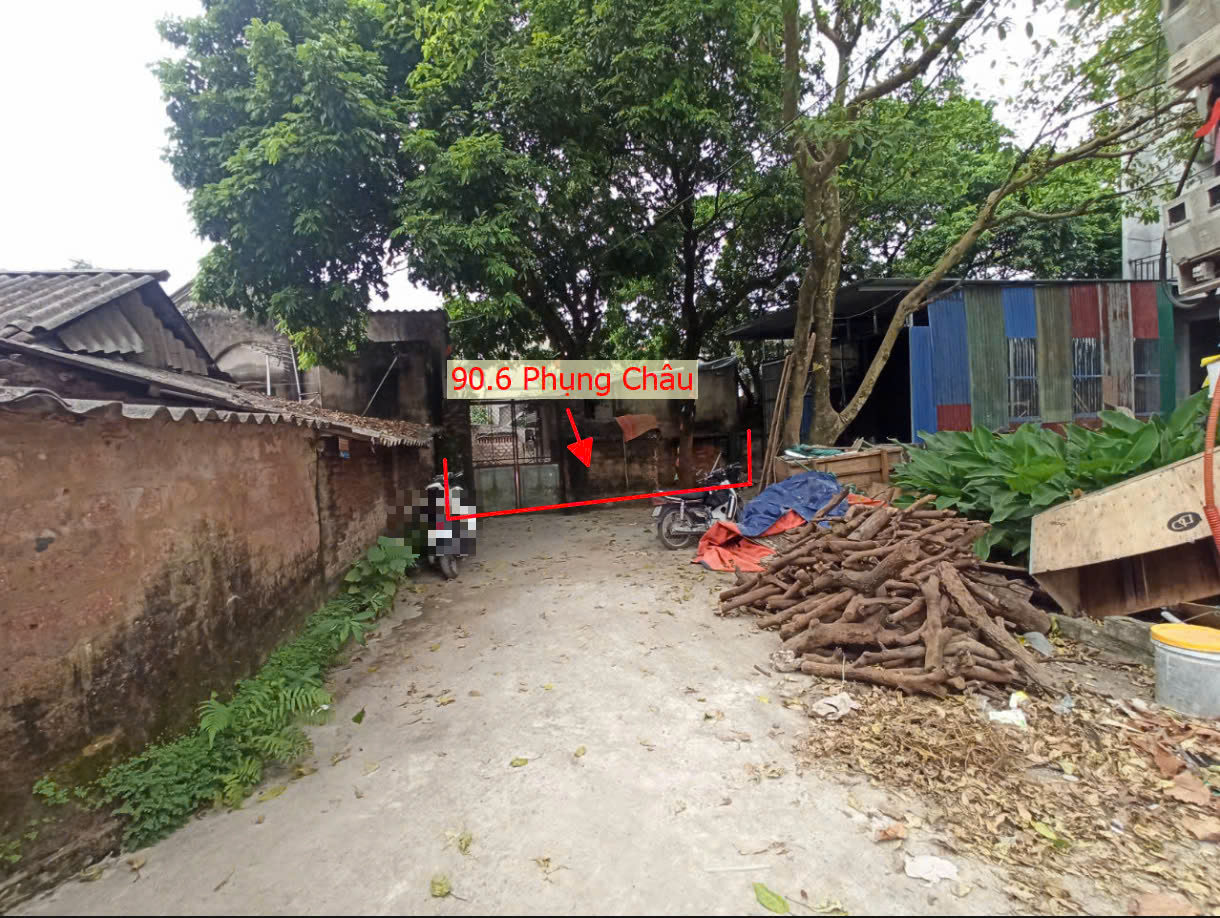 Hình ảnh Bán Đất Phụng Châu Sát Trục Chính Liên Huyện Ngay Trung Tâm Hành Chính Xã Phụng Châu 