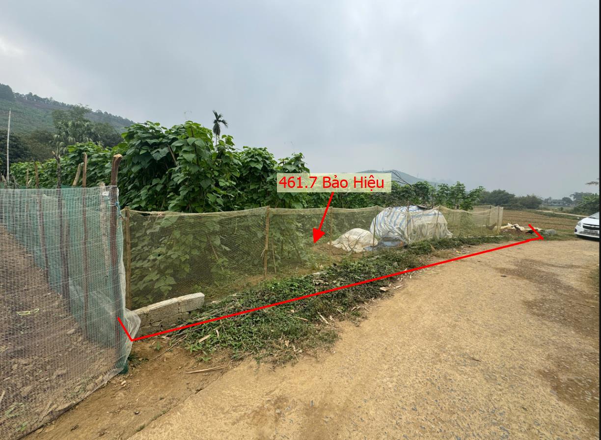 Hình ảnh Bán Lô Đất 461.7m Tại Bảo Hiệu Yên Thủy Bám Đường Bê Tông Ô Tô Vào Tận Đất Dân Cư Đông Đúc Giá Đầu Tư