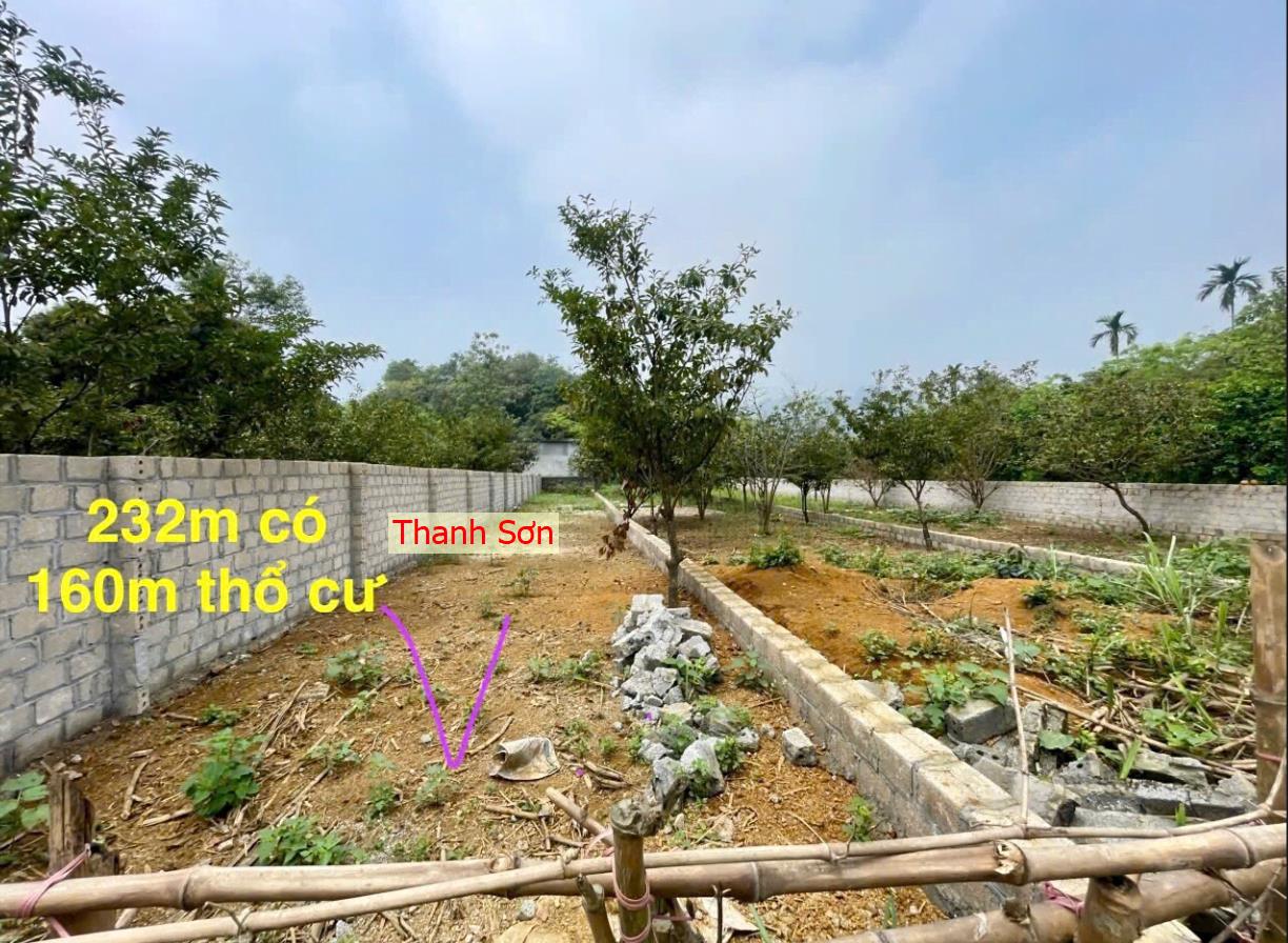 Hình ảnh Bán Lô Đất 232.6m Thanh Cao Lương Sơn Bám Đường Bê Tông Ô Tô Vào Tận Đất Gần Chợ Trường Học Ủy Ban Giá Đầu Tư