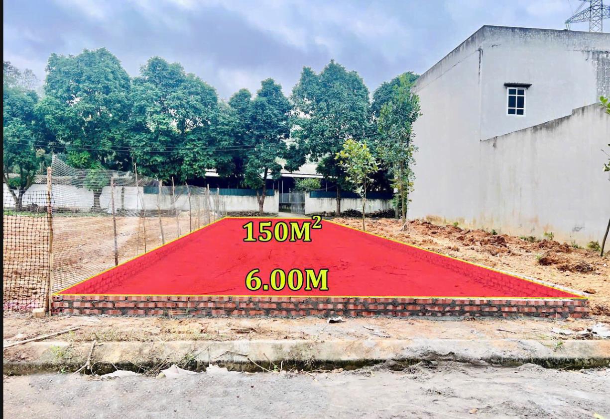 Hình ảnh Bán Lô Đất 150m Tại Đạo Tú Tam Dương Bám Đường Bê Tông Ô Tô Vào Tận Đất Dân Cư Đông Đúc Thân Thiện Giá Đầu Tư