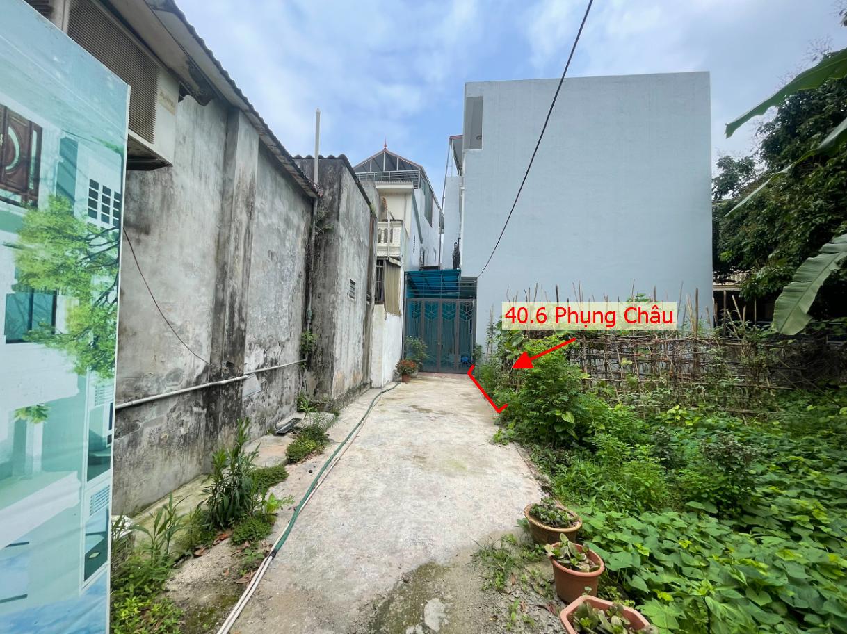 Hình ảnh Bán Thửa Đất 40.6m Tại Phụng Châu Sát Trục Kinh Doanh Liên Huyện Giá Chỉ Hơn Tỷ