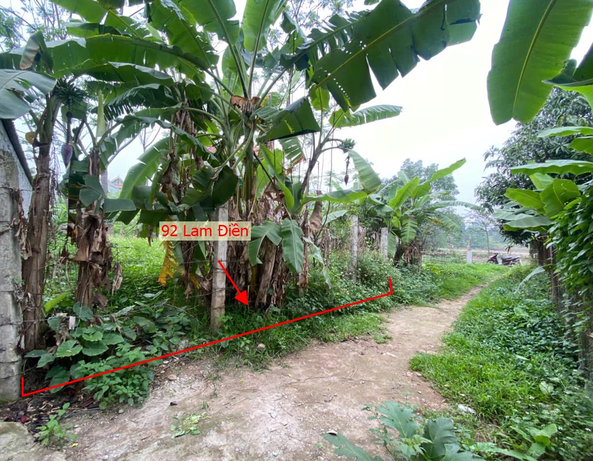 Hình ảnh Chủ Cắt Bán Thửa Đất 2 Mặt Tiền 92m Tại Lam Điền Chương Mỹ Gần Trục Chính Kinh Doanh Liên Huyện 