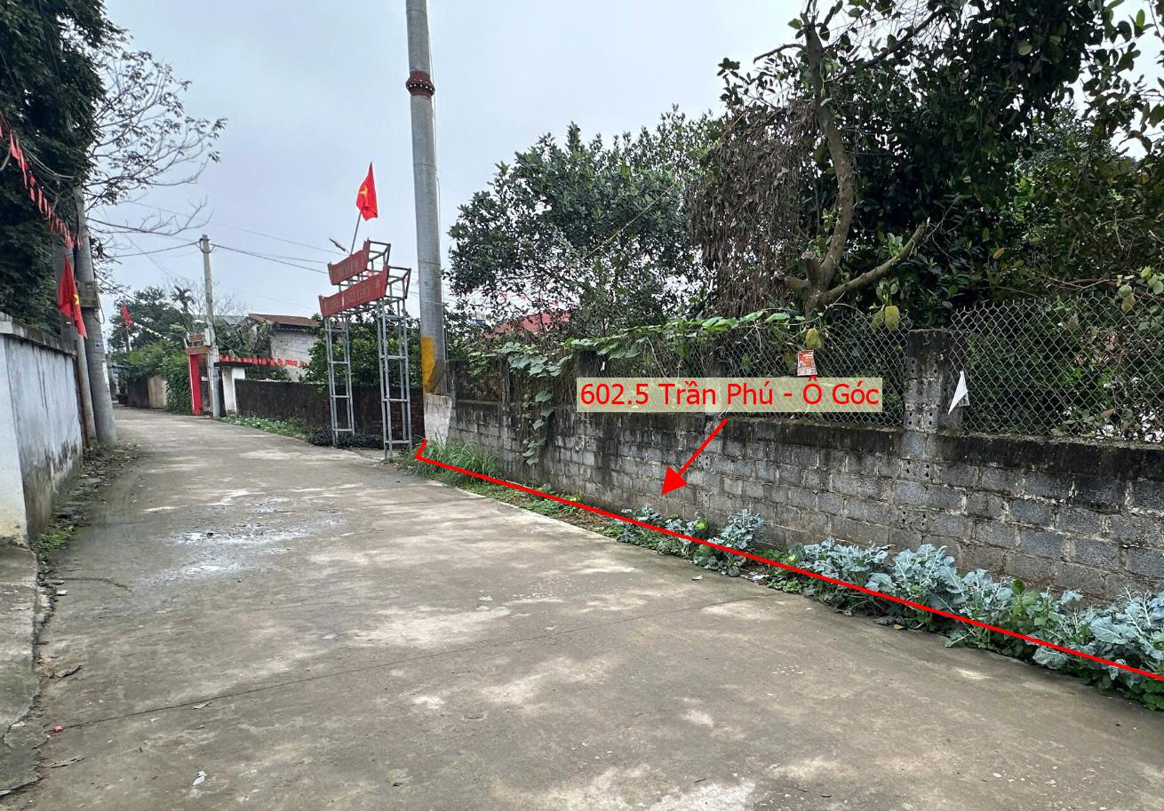 Hình ảnh Bán Lô Góc 2 Mặt Tiền 602.5m Tại Trần Phú Đường Ô Tô Tránh Gần Trục Chính Kinh Doanh Liên Xã