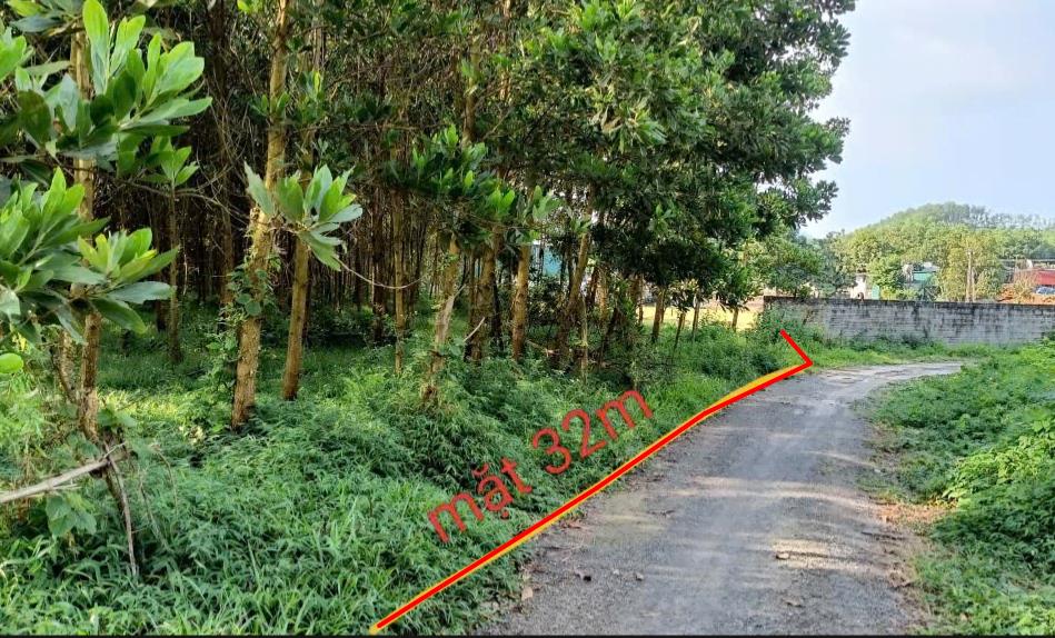 Hình ảnh Bán Lô Đất 5787.6m Tại Lạc Thủy Bám Đường Bê Tông Ô Tô Vào Tận Đất Dân Cư Đông Đúc Cách QL1A 1km Gần Chợ Trường Học Ủy Ban Giá Đầu Tư