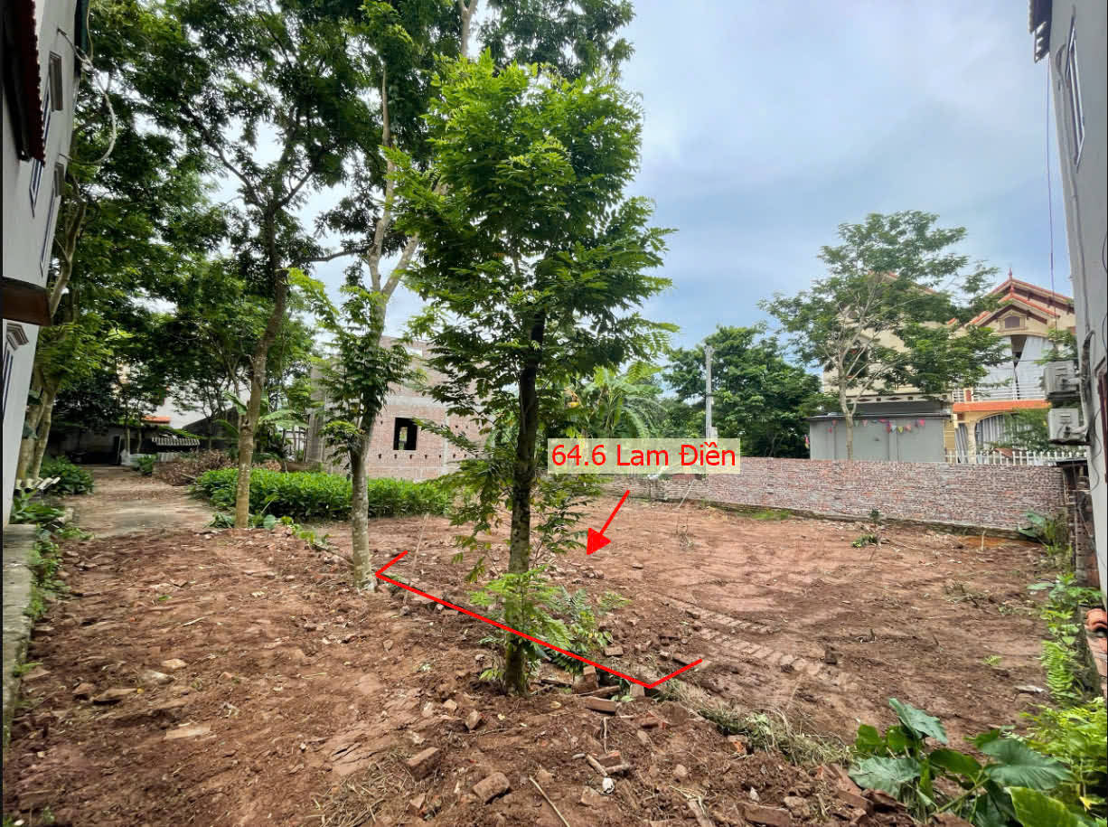 Hình ảnh Bán Đất Lam Điền | Đất Phân Lô Lam Điền Full Thổ Cư Giá Chưa Đến Tỷ 