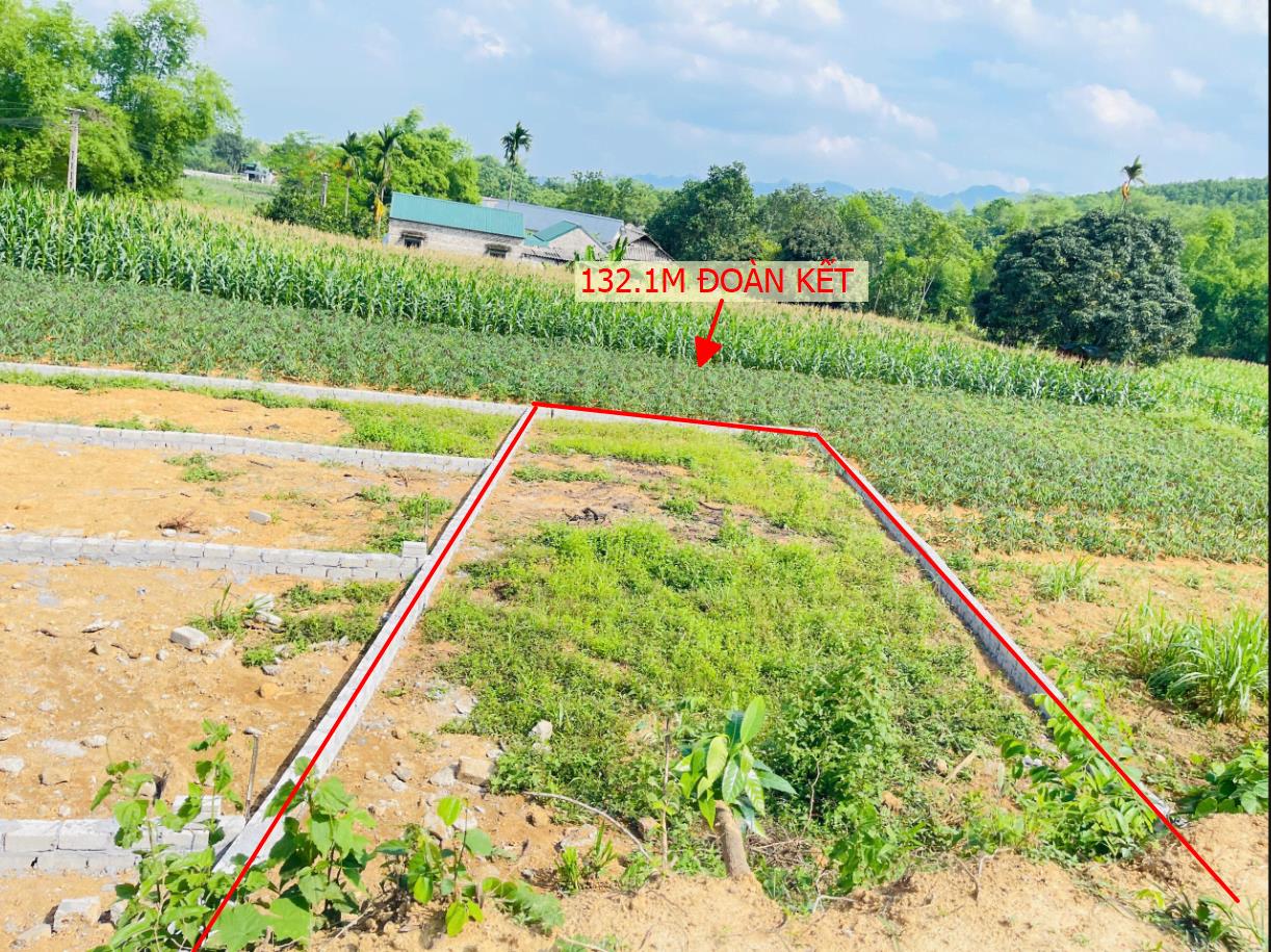 Hình ảnh TK Đăng Bài Bán Lô Đất 132.1M Tại Đoàn Kết Yên Thủy Bám Đường Bê Tông Ô Tô Vào Tận Đất Dân Cư Đông Đúc Cách Ql12b 1.5km View Thoáng Mát Giá Đầu