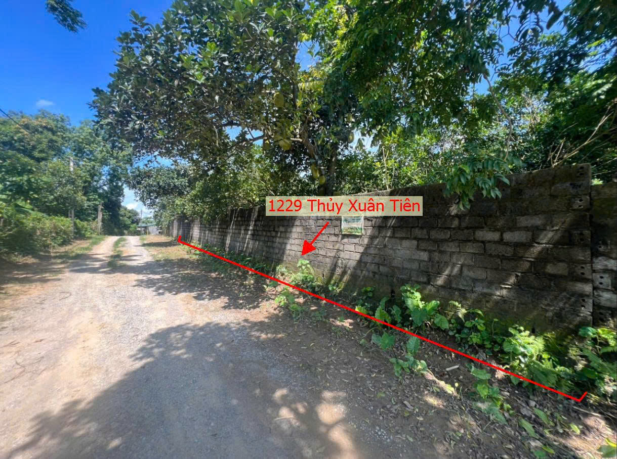 Hình ảnh Bán Thửa Đất 1229m Tại Thủy Xuân Tiên Ô Tô Đỗ Tận Đất Sát Trục Liên Xã Ngay Gần QL21A 