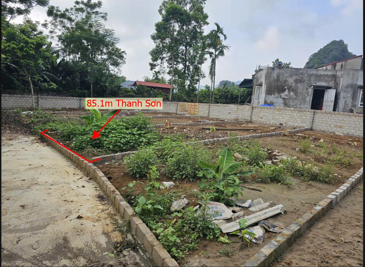 Hình ảnh Bán Lô Đất 85.1m Tại Thanh Sơn Lương Bám Đường Bê Tông Ô Tô Vào Tận Đất Dân Cư Đông Đúc Giá Đầu Tư