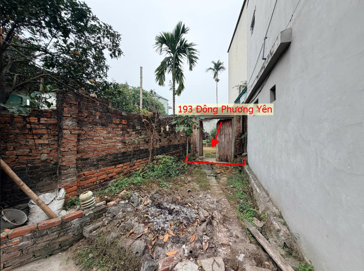 Hình ảnh Bán Đất Full Thổ Cư 193m Tại Đông Phương Yên Sát Trục Kinh Doanh Gần QL6A Đang Triển Khai Mở Rộng