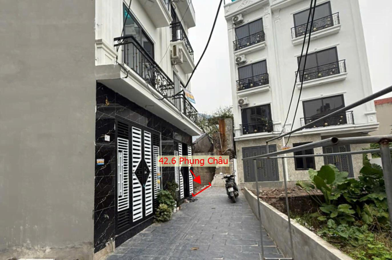 Hình ảnh Bán Đất Phụng Châu Gần Trục Liên Huyện Ngay Trung Tâm Hành Chính Xã Phụng Châu Giá Chỉ Hơn 2 Tỷ