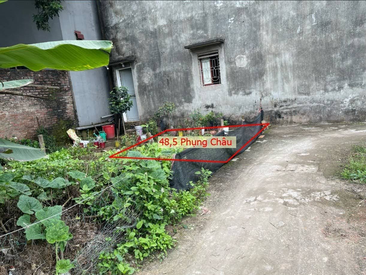 Hình ảnh Bán Đất Phụng Châu Ngay Sát Trục Chính Kinh Doanh Gần Trung Tâm Hành Chính Xã 