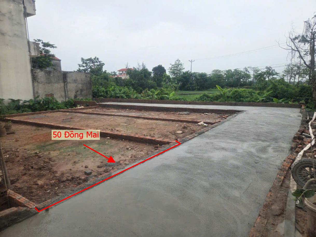 Hình ảnh Bán Đất Phân Lô Khu Vực Đồng Mai Sát Trục Chính Kinh Doanh Liên Xã Ngay Cạnh Khu Dịch Vụ Sinh Thái Đồng Mai
